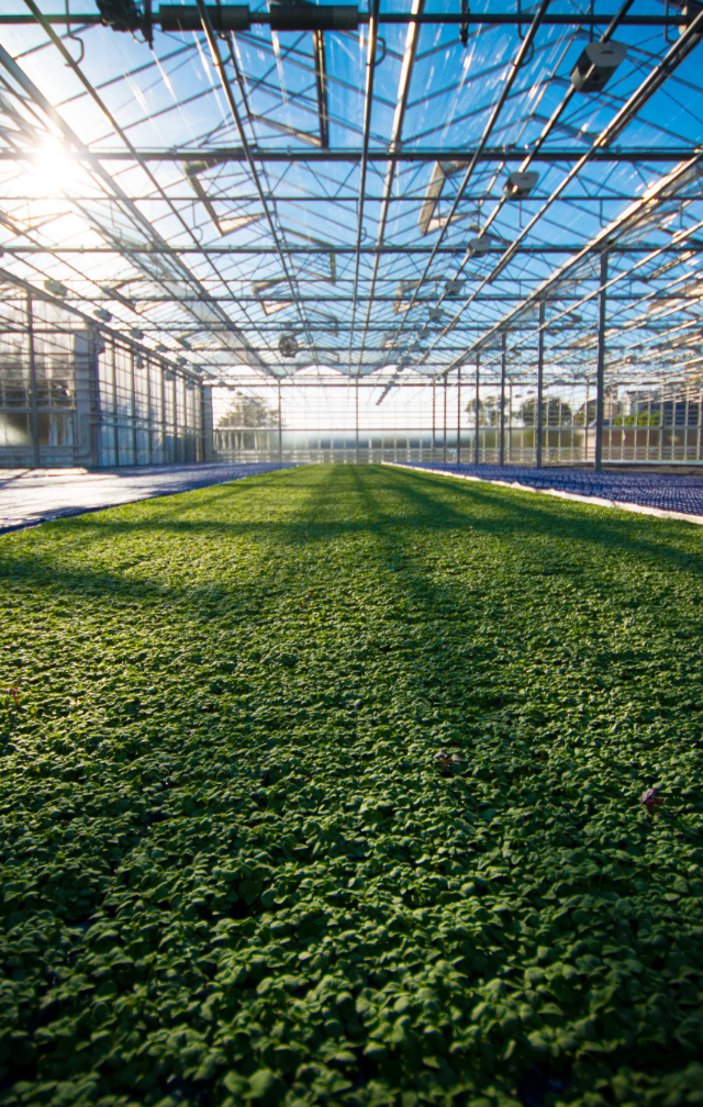 默认标题 2025 07 28+16 17 58